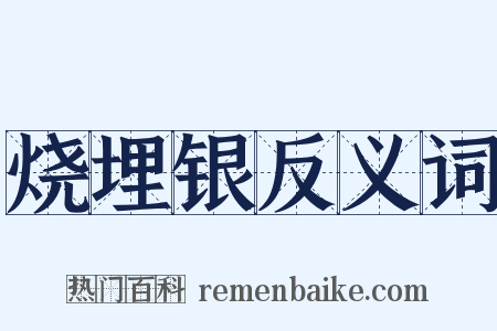 烧埋银反义词是什么意思的图片